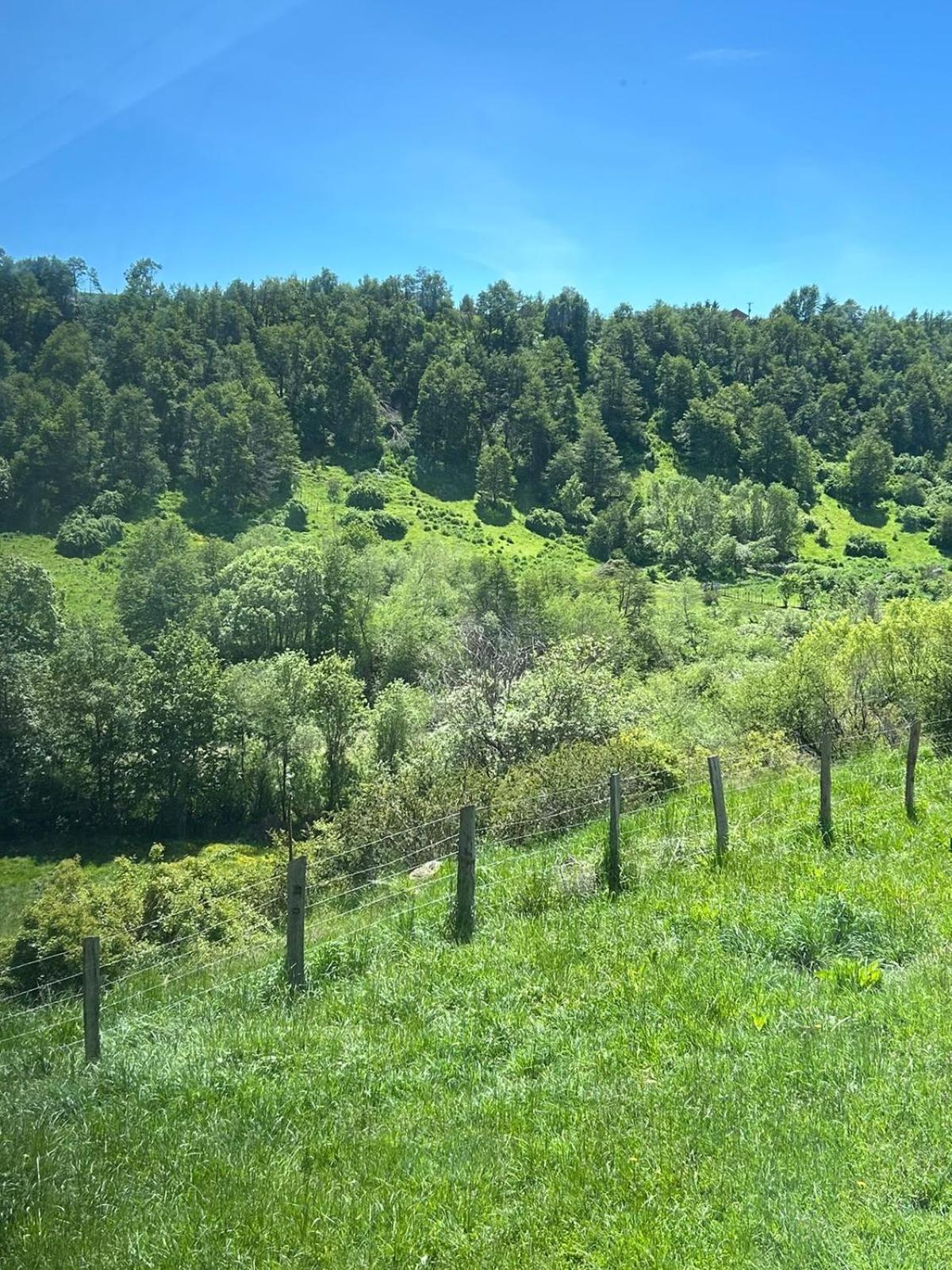 Austral Patagonian Lodge Coyhaique Zewnętrze zdjęcie